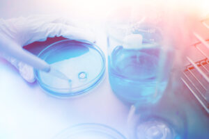 GMP Certified Copper Sulphate Manufacturer – Supplying Quality for Regulated Formulations